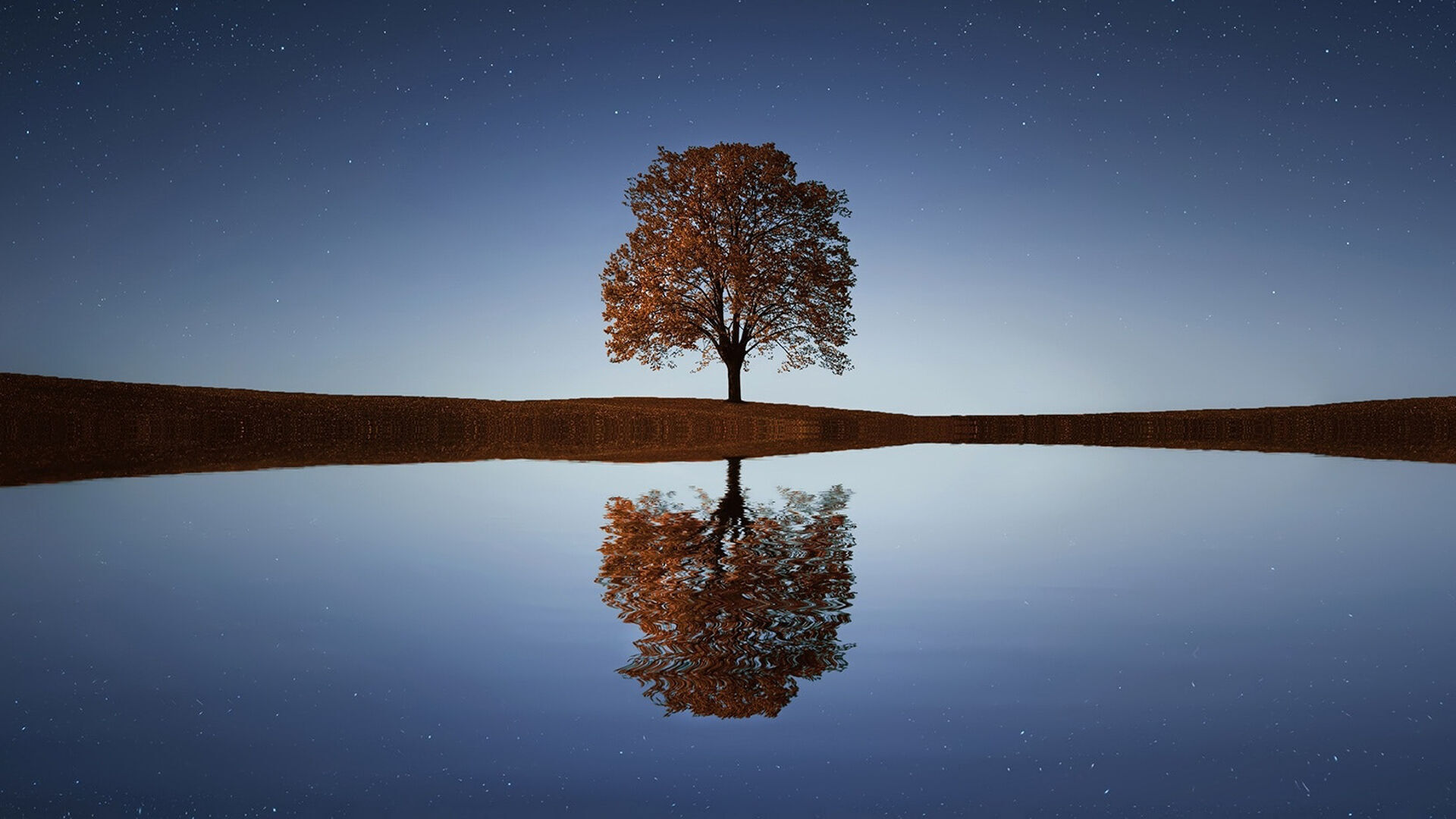 ส่วนบนสุดของเว็บไซต์